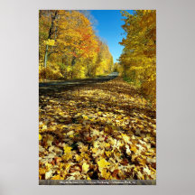 Maple leaves and Fortune Parkway, Gatineau Park, Q Poster