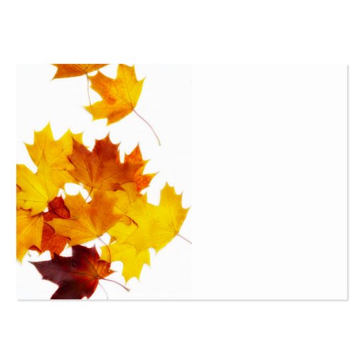 Maple leaves business card templates (front side)