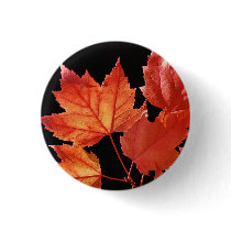 Maple Leaves buttons by FallSeason Maple Leaves buttons