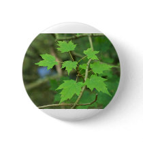 Maple Leaves buttons by InnerWisdomHealing Maple Leaves buttons