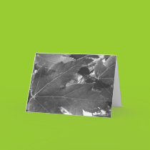 Maple Leaves Card cards