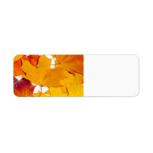 Maple leaves custom return address labels