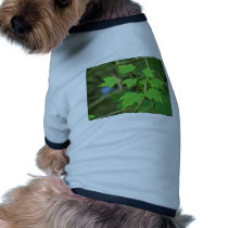 Maple Leaves pet clothing