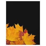 Maple leaves flyers