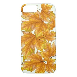 Maple leaves foliage