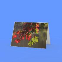 "Maple Leaves" Greeting Card cards