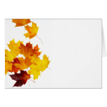 Maple leaves greeting card