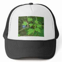 Maple Leaves hats by InnerWisdomHealing Maple Leaves hats