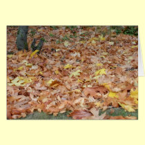 Maple leaves in the fall cards