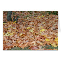 Maple leaves in the fall cards by Yarijik Maple leaves in the fall cards