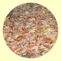 Maple leaves in the fall stickers