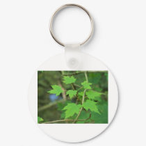 Maple Leaves keychains by InnerWisdomHealing Maple Leaves keychains