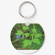 Maple Leaves keychains by InnerWisdomHealing Maple Leaves keychains