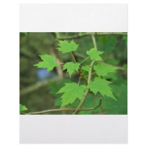 Maple Leaves letterhead by InnerWisdomHealing Maple Leaves letterhead