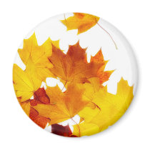 Maple leaves refrigerator magnets