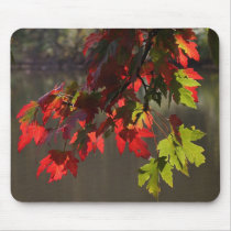 Maple Leaves mousepads by lyle58 Maple Leaves mousepads