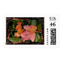 Maple Leaves postage by aurorawind Maple Leaves postage