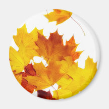 Maple leaves refrigerator magnets