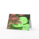 Maple N' Hosta Note Cards