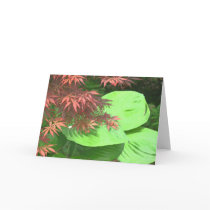 Maple N' Hosta Note Cards by patcallum Maple N' Hosta Note Cards