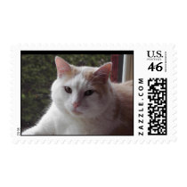 Maple postage