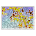 Maple Series: Postcard