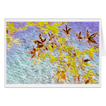Maple Series: Postcard