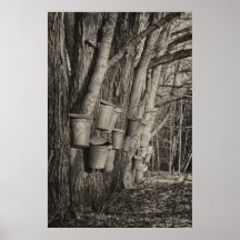 Maple Syrup Time Print