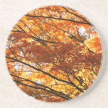 Maple tree foliage beverage coasters