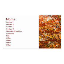 Maple tree foliage business card templates