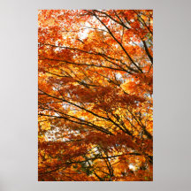 Maple tree foliage print