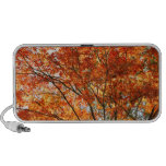 Maple tree foliage travelling speakers