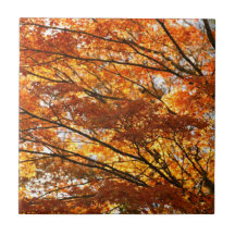 Maple tree foliage tile