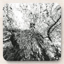 Maple Tree Inkblot Photograph Drink Coaster