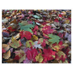 Maple tree leaves on ground in O'Dell Park, New Br Custom Flyer