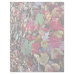 Maple tree leaves on ground in O'Dell Park, New Br Letterhead