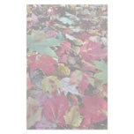 Maple tree leaves on ground in O'Dell Park, New Br Stationery Paper