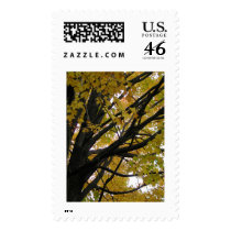 Maple Tree postage by Maria_K_Bell Maple Tree postage