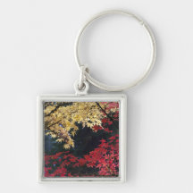Maple trees in autumn color key chain