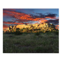 Mapungubwe Hill posters