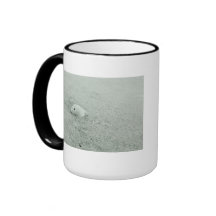 Mar blanco Shell en la playa de Sandy Tazas De Café