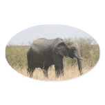 mara elephant sticker