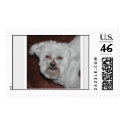 Maradona postage by simba4every2k Maradona postage