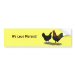 Marans Black Copper Bumper Sticker