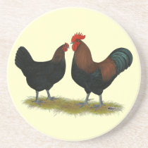 Marans Black Copper Beverage Coaster