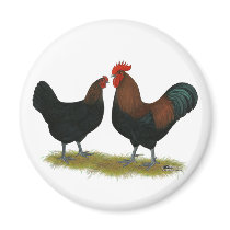 Marans Black Copper Fridge Magnet