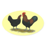 Marans Black Copper Oval Sticker