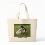 Marans Chicks bags