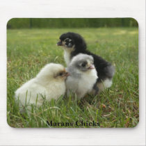 Marans Chicks Mouse Mats