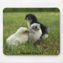 Marans Chicks mousepads by wjeane Marans Chicks mousepads